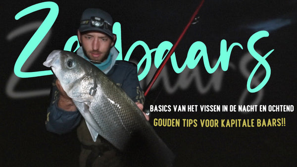 Our latest SEABASS VIDEO is now available to watch!