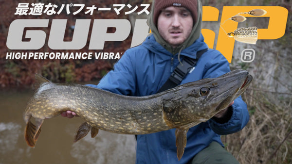 Fishing with a Spinnerbait for Pike in Winter: Tips for Success