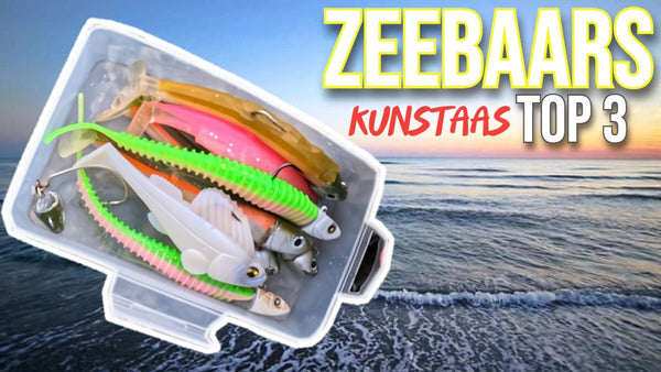 Fishing with artificial bait for sea bass in the Netherlands