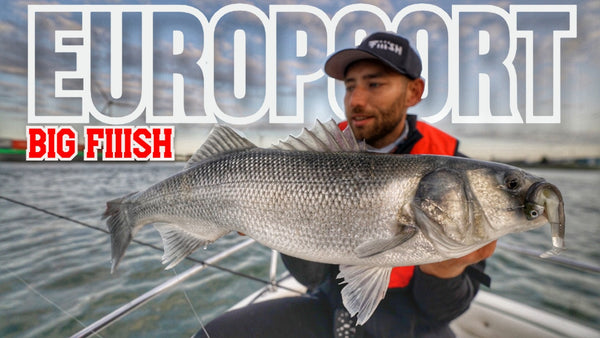 Sea bass fishing: BEND OR CRACK IN THE EUROPORT