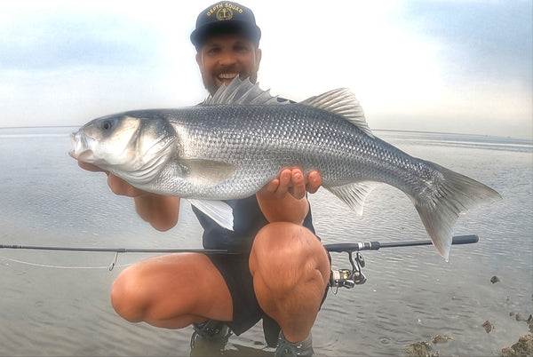 These are the best lures for sea bass fishing ATM!